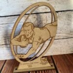 Teacher & Graduation Plaque / Trophy - TR003 (25CM)